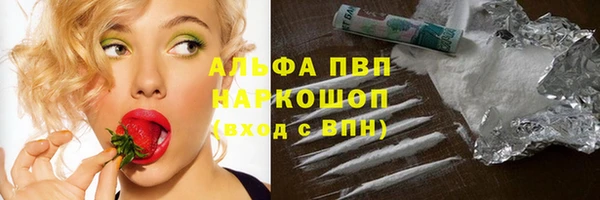 ПСИЛОЦИБИНОВЫЕ ГРИБЫ Щигры
